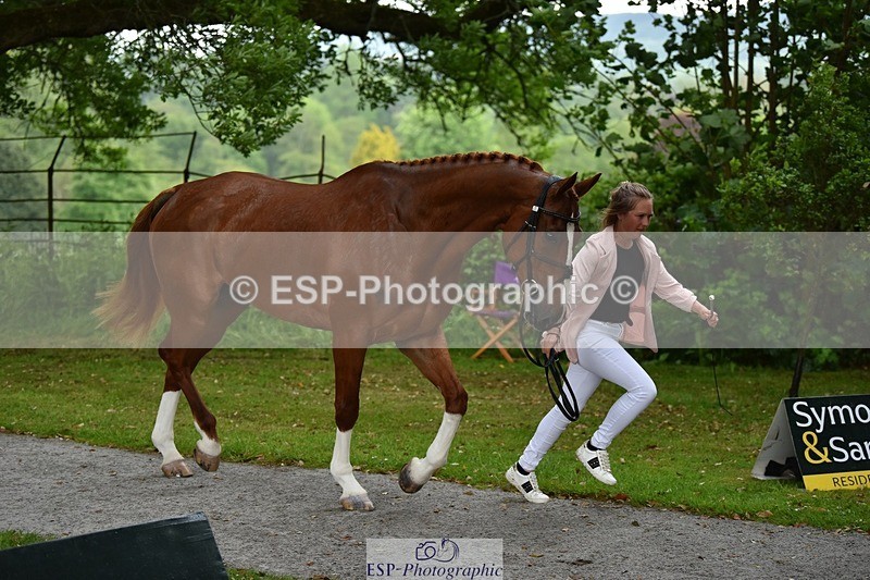 240522-151154-00158 - 312-DALOUBET_MANSOLEIN_Z-Kat_Raybould