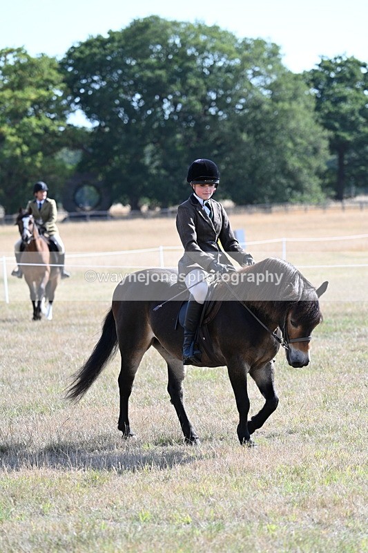 WJ7_2923 - Class 8 Ridden Tack & Turnout