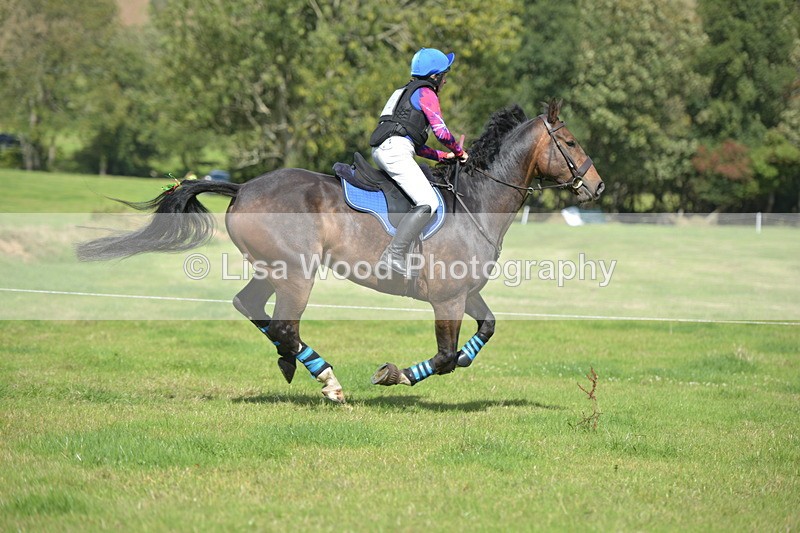 RAY_8727 - Class 2: Trekenning Open: Wall