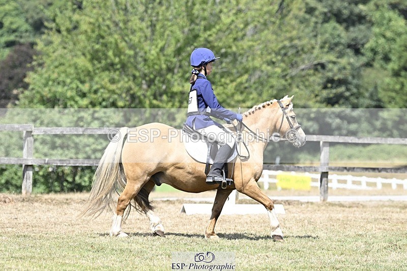 250821A-122546-15554 - DR 11.00 to 12.00