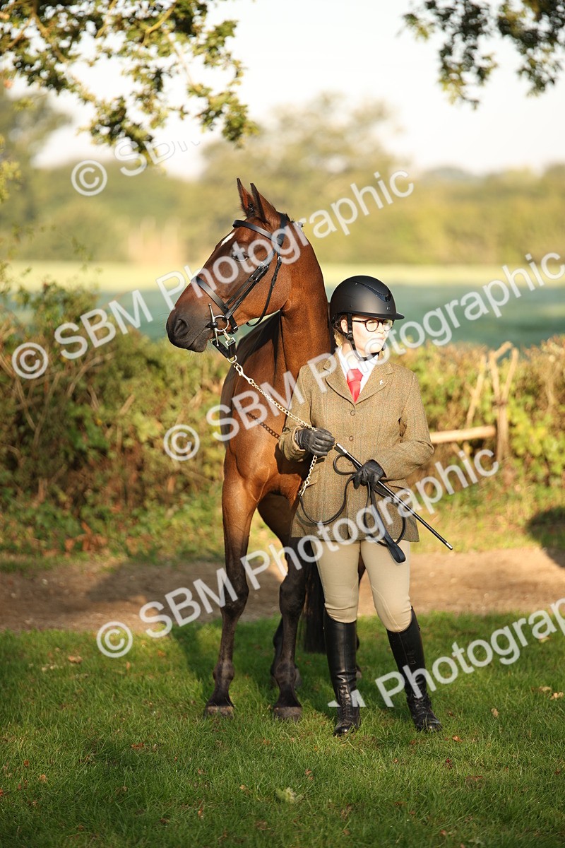 SBM_56913 - S49 - Riding Horse & Hack & Thoroughbred In Hand