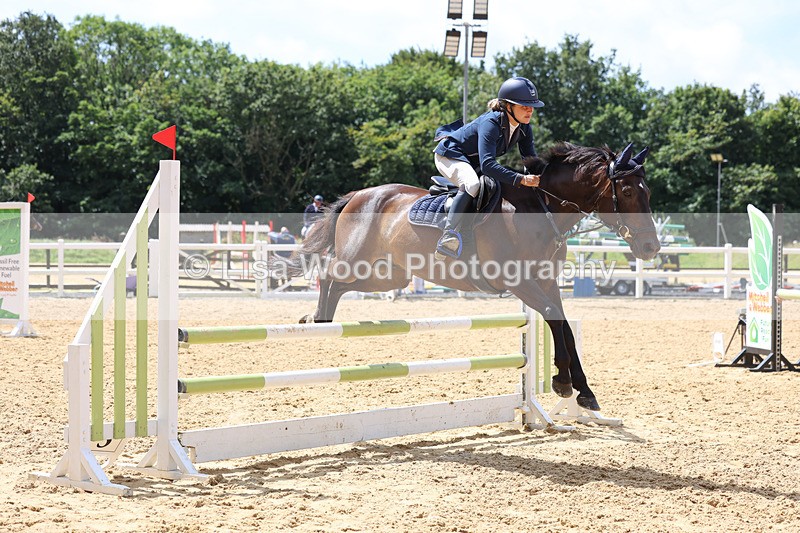 3E7A0401 - Class 9: Senior British Novice/90cm open