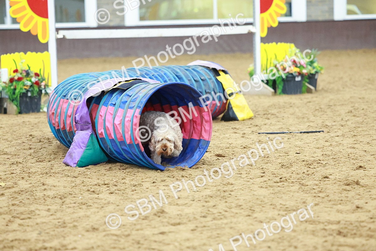 SBM_002354 - Class 3 - Horse & Hound (60cm)