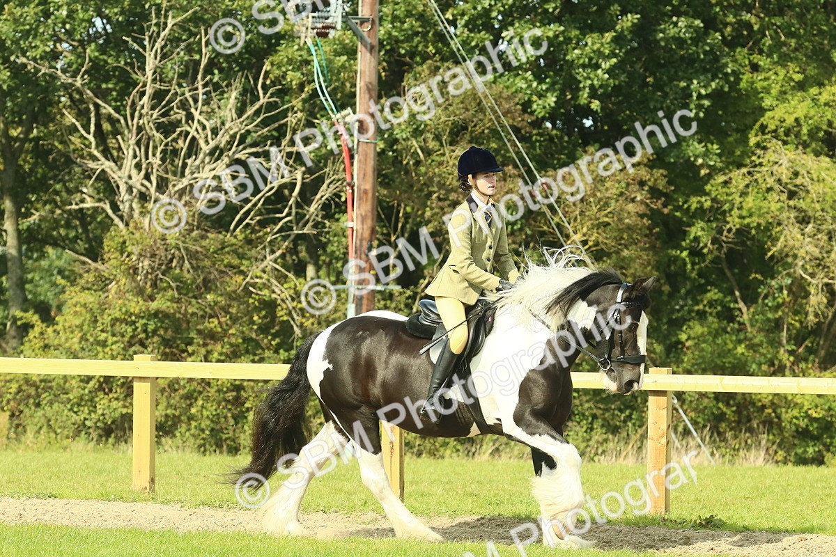 SBM_67454 - S56 - Coloured Pony Ridden