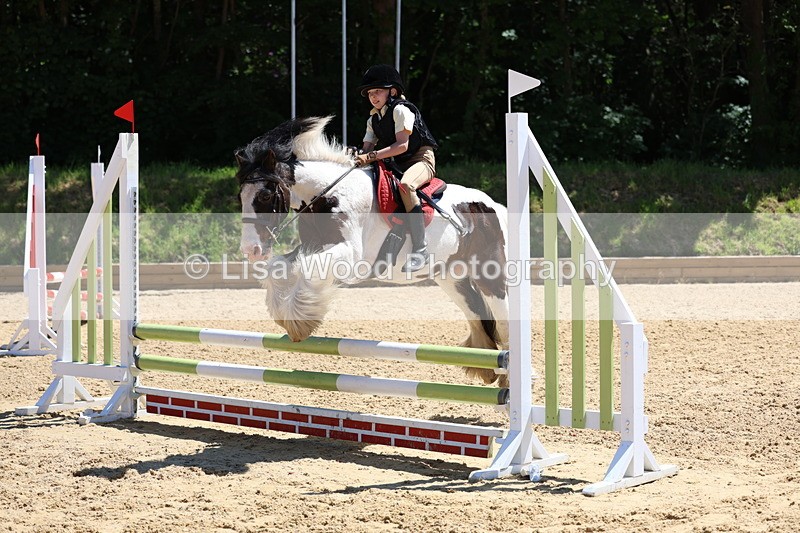 3E7A2611 - Class 4/5: 60cm Open Teams and Individuals