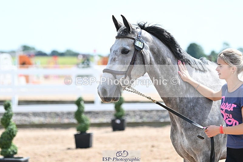 240717A-150559-02536 - Trot Up 3pm to 4pm