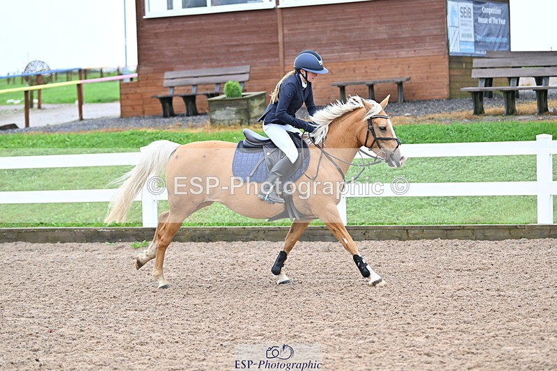 240908A-111510-03295 - Cls 18 A&B Pony Brit Nov & 80 Opern