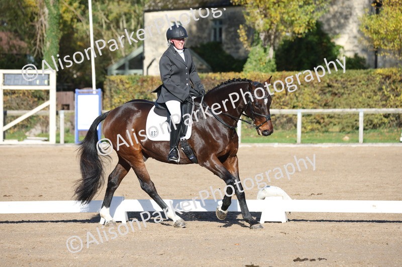 20251102-0502 - Class 3 - Novice 5