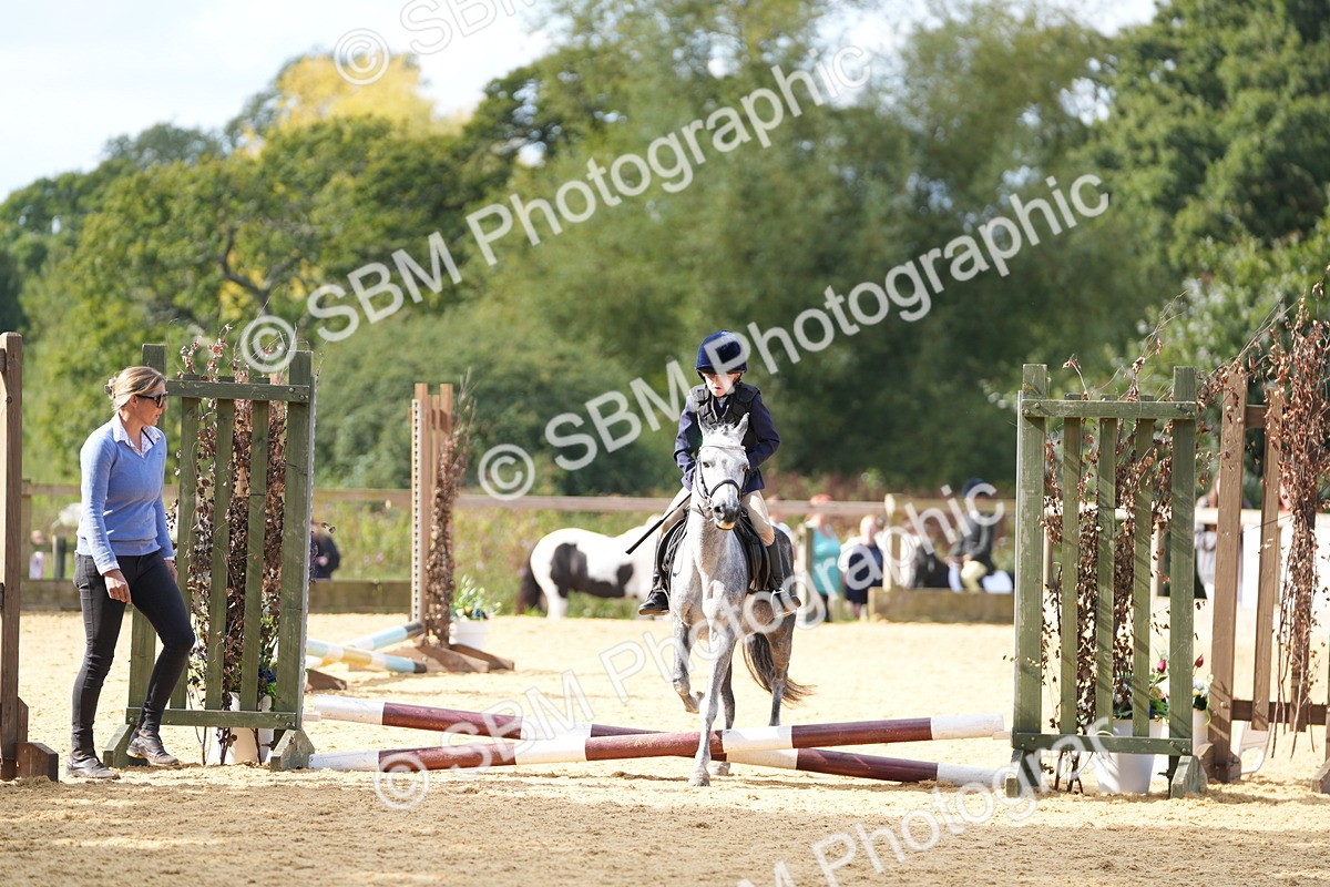 SBM_64374 - J2 - Mini Tour Junior Pony 30cm Championship