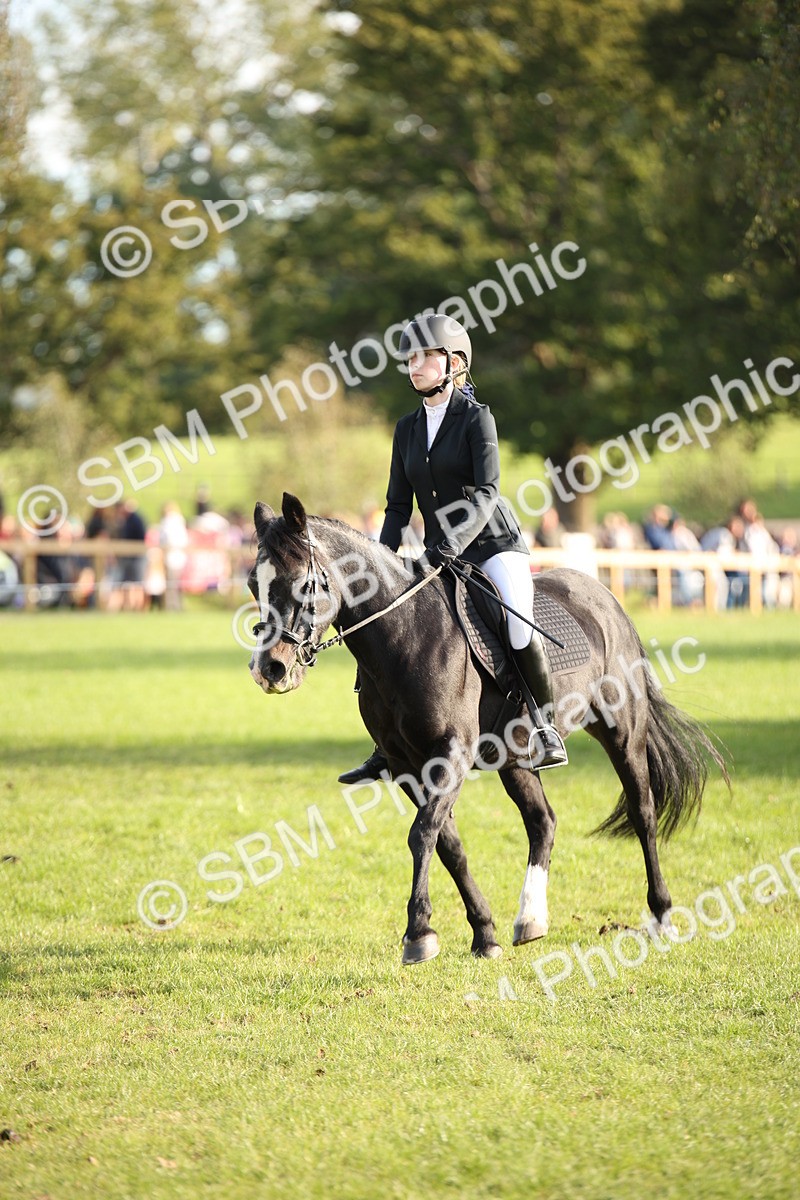 SBM_54316 - S27 - Mature Veteran - Ridden