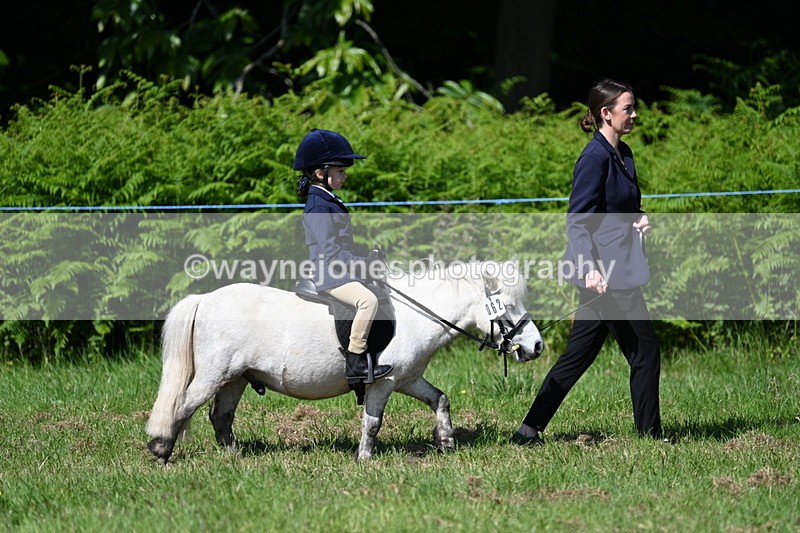 WJ7_0751 - Class 8 First Rally Pony