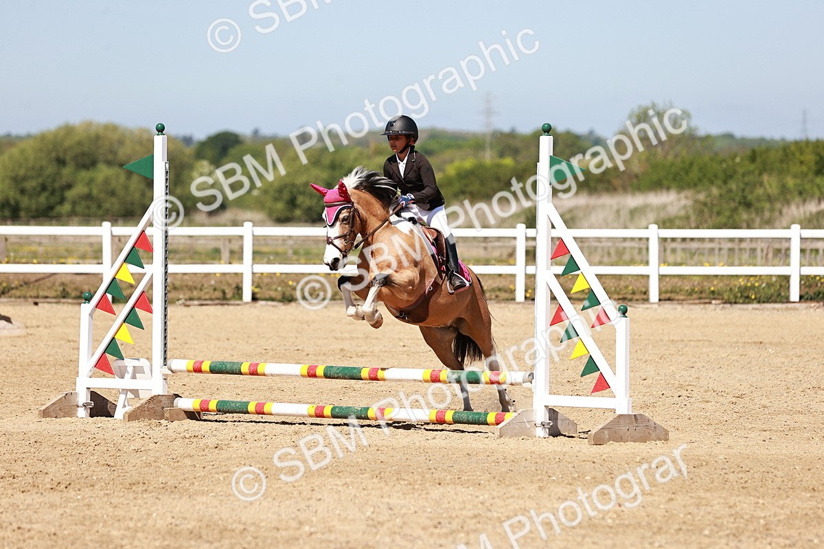 SBM_006998 - Class 2 - 50cm