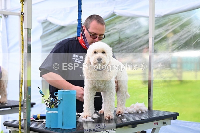 240525-114646-12612 - Candid and Saturday Hobby Horse