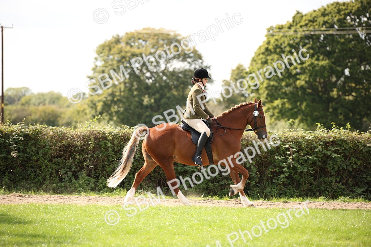 SBM_49975 - S26 - Young Veteran - Ridden