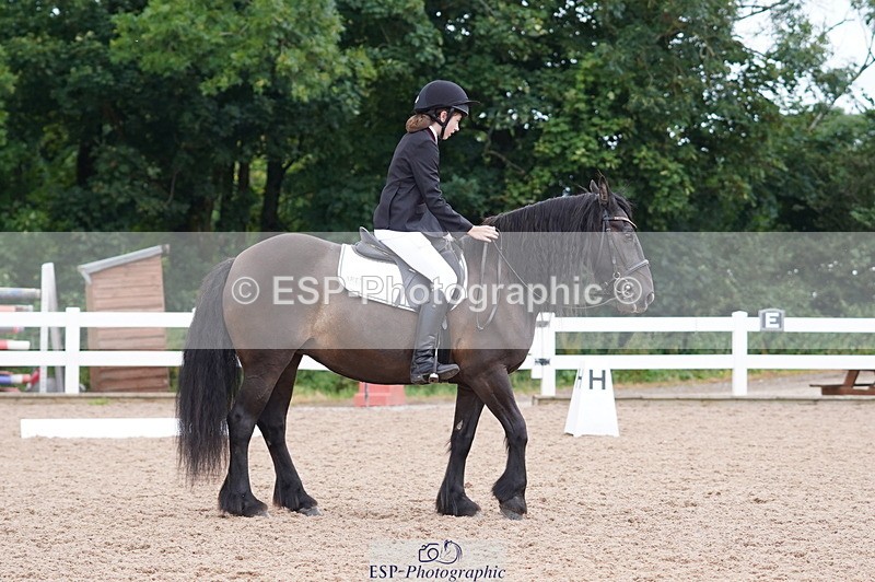 240809A-095438-00357 - Dressage Competition