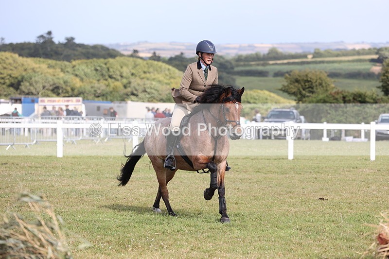 JPP_2659 - Class 20: Working Hunter 70cm