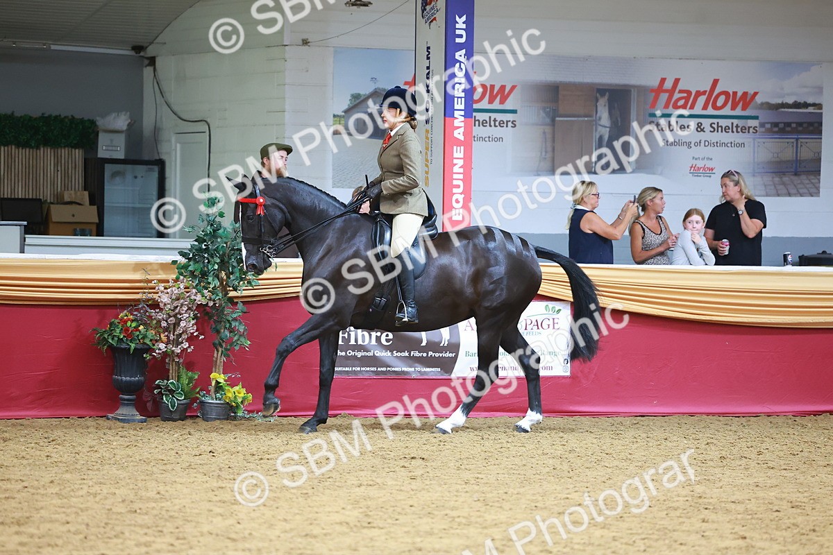 SBM_06290 - Class 12R - Ridden Pre-Vet