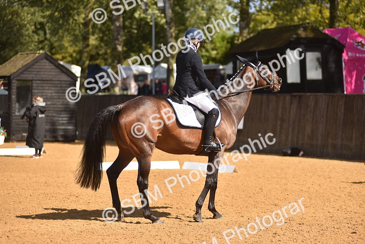 SBM_19966 - D4 - Small Tour Championship Intro 4
