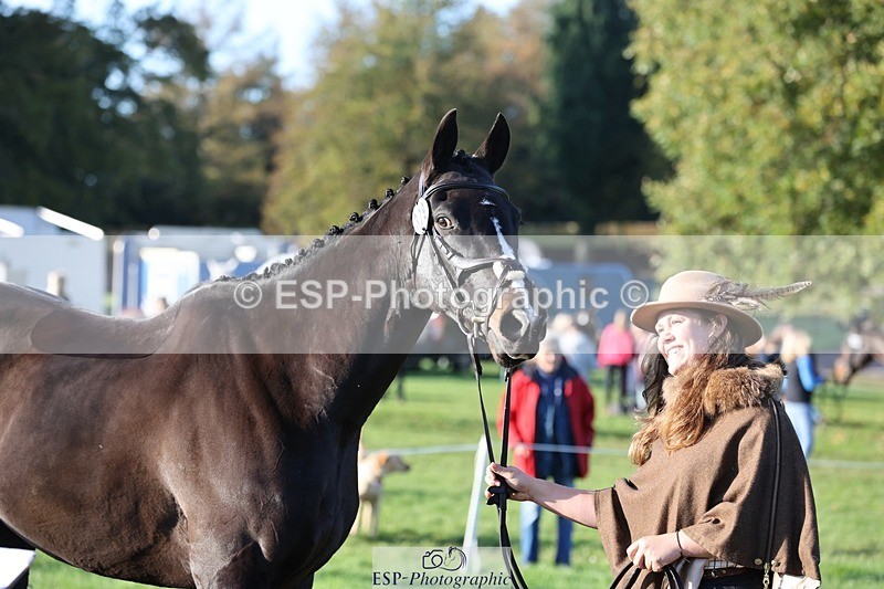 241027-091419-15147 - 379-Vikki.Maddox-GOGETTHAT