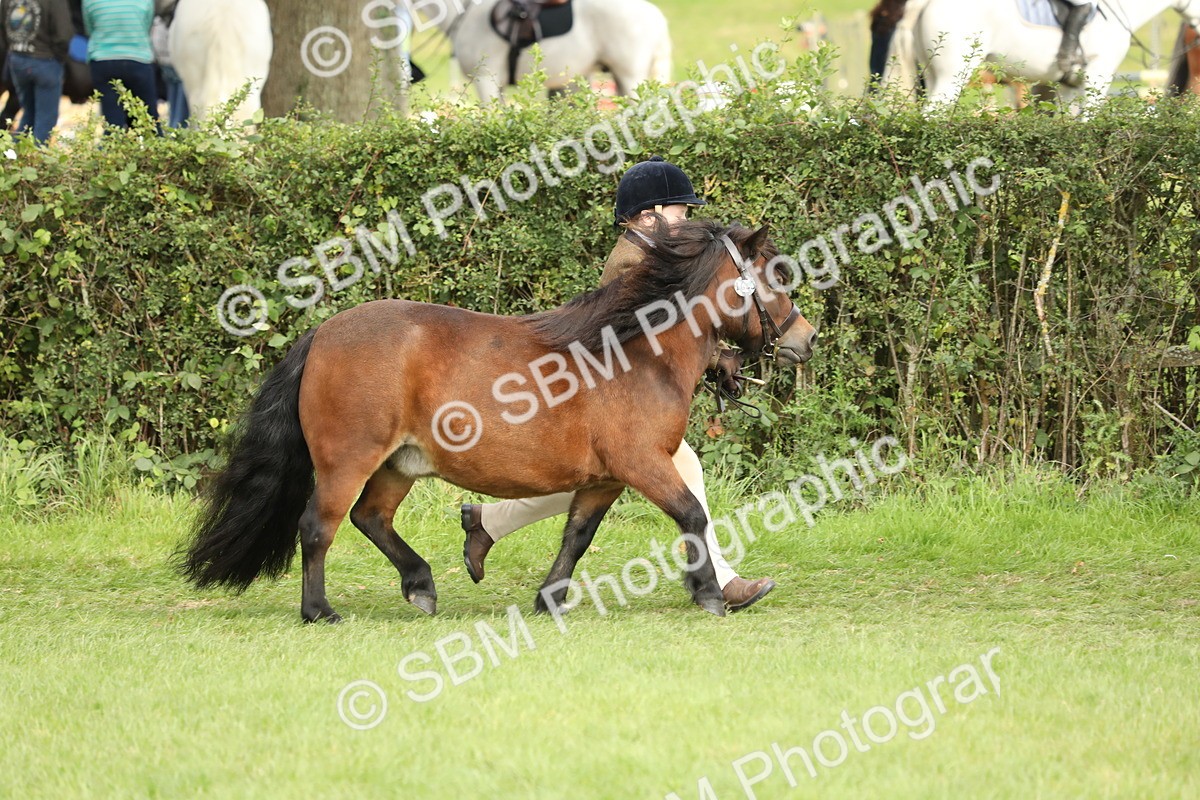 SBM_68534 - S40 - Junior Handler 9-12 Years