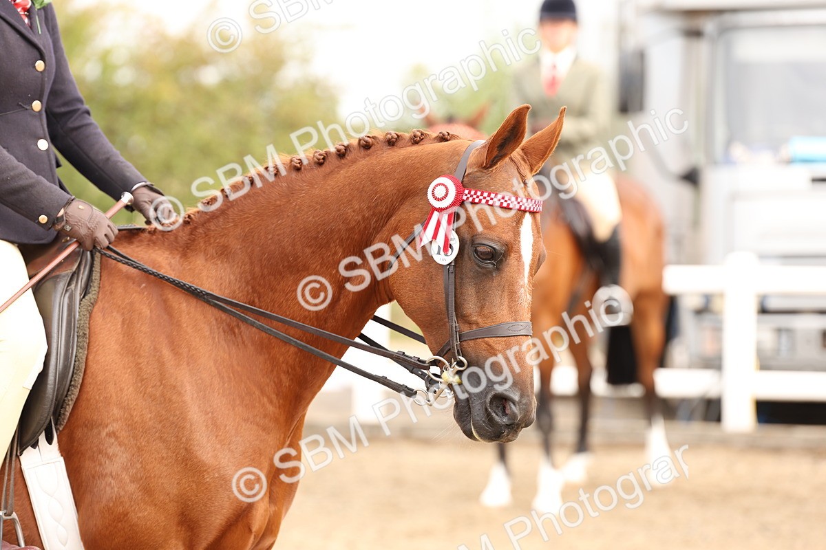 SBM_01564 - Class 52 - Ridden Veteran