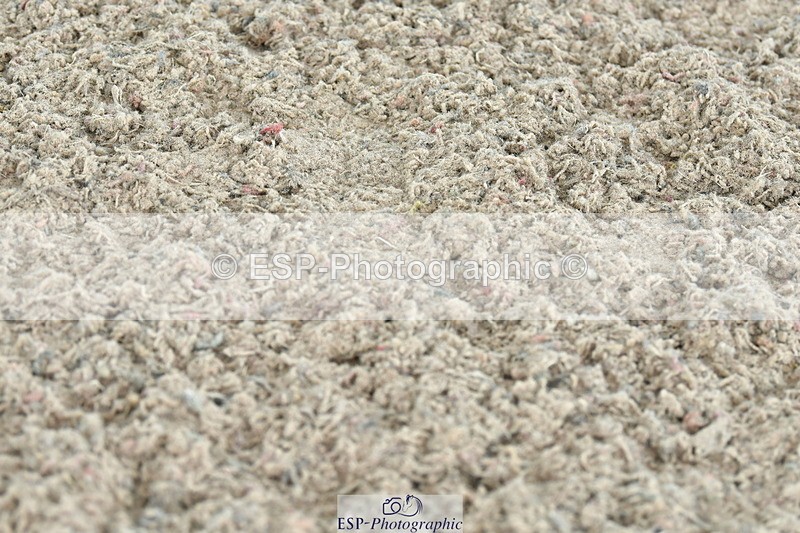 230721A-113402-05746 - Cls 18, 1 Star Silver 1.20m