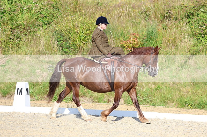 3E7A3443 - Class 2: Intro 1 2024 Section B