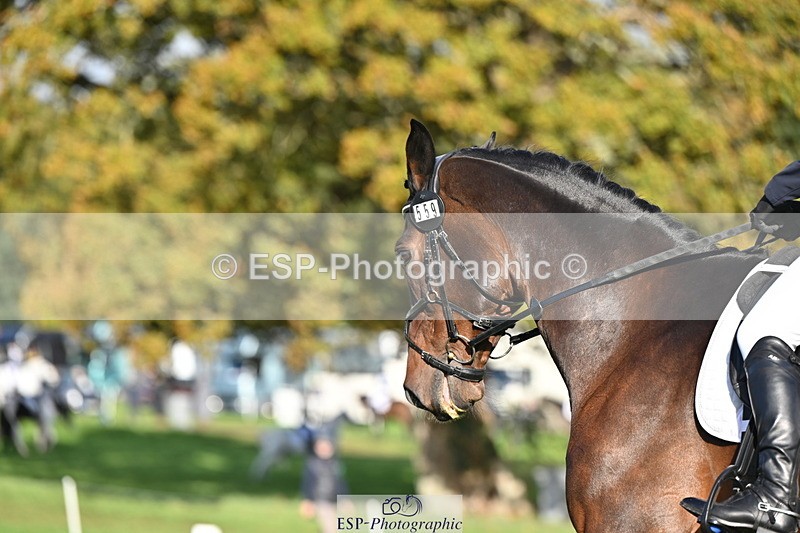 251024A-104352-08429 - G-559-Eleanor.Dunachie