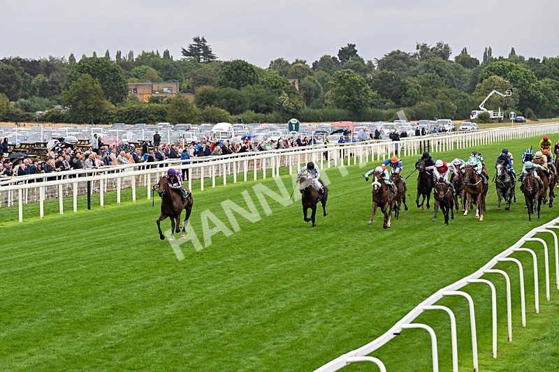 200826-Race 2-Sun Goddess-0271 - Race 2 14.25pm Harry's Half Million By Goffs