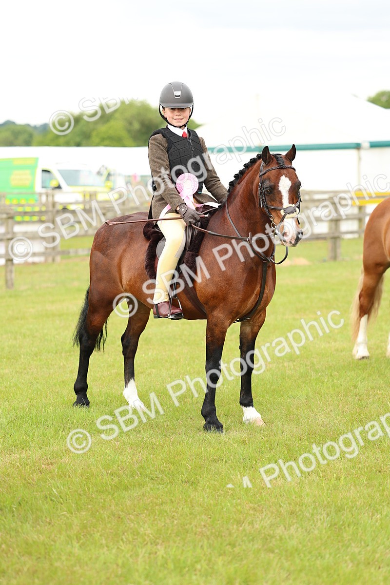 SBM_10415 - Class 44-45 - LIHS BSPS Open Nursery and Cradle Stakes