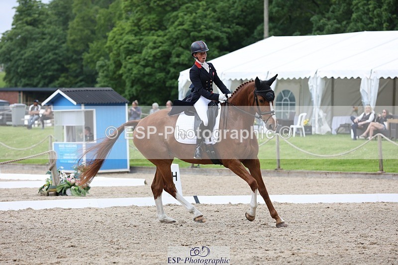 240523-150415-03019 - 233-SILVESTERS_FINESSE-Rosalind_Canter