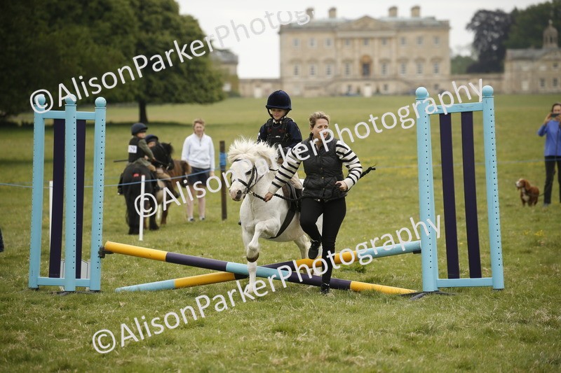 20250517-0183 - Class 1 - 30cm On Lead Rein