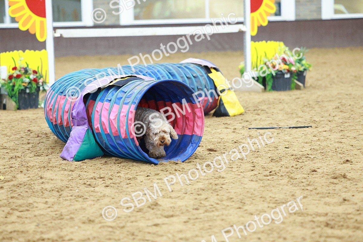 SBM_002352 - Class 3 - Horse & Hound (60cm)