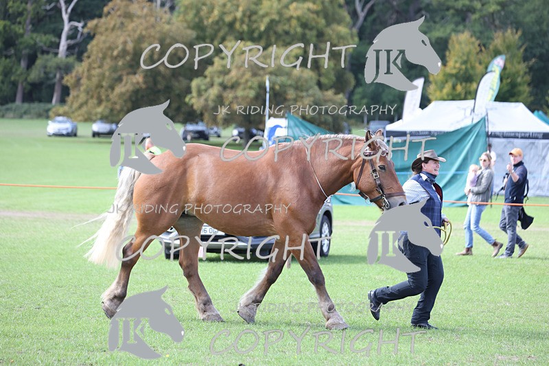 APP_3346 - Class 4 Veterans