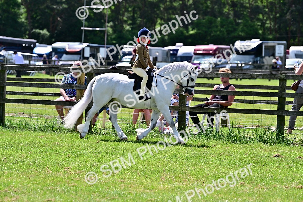 SBM_06031 - Class 59-60 - TSR M&M  Lear Rein and First Ridden Amateur of the year