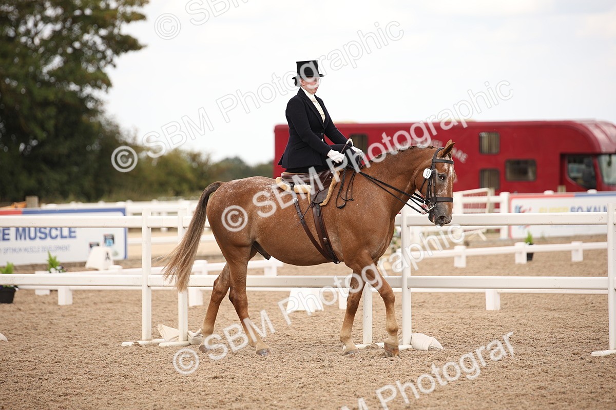 SBM_05299 - Class 22 SSA Equitation