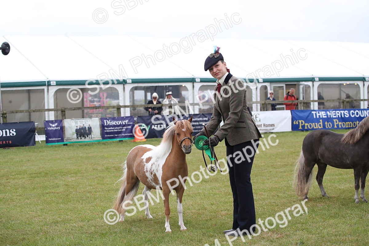 SBM_04022 - Class 23-25 - British Miniature Horse of the Year