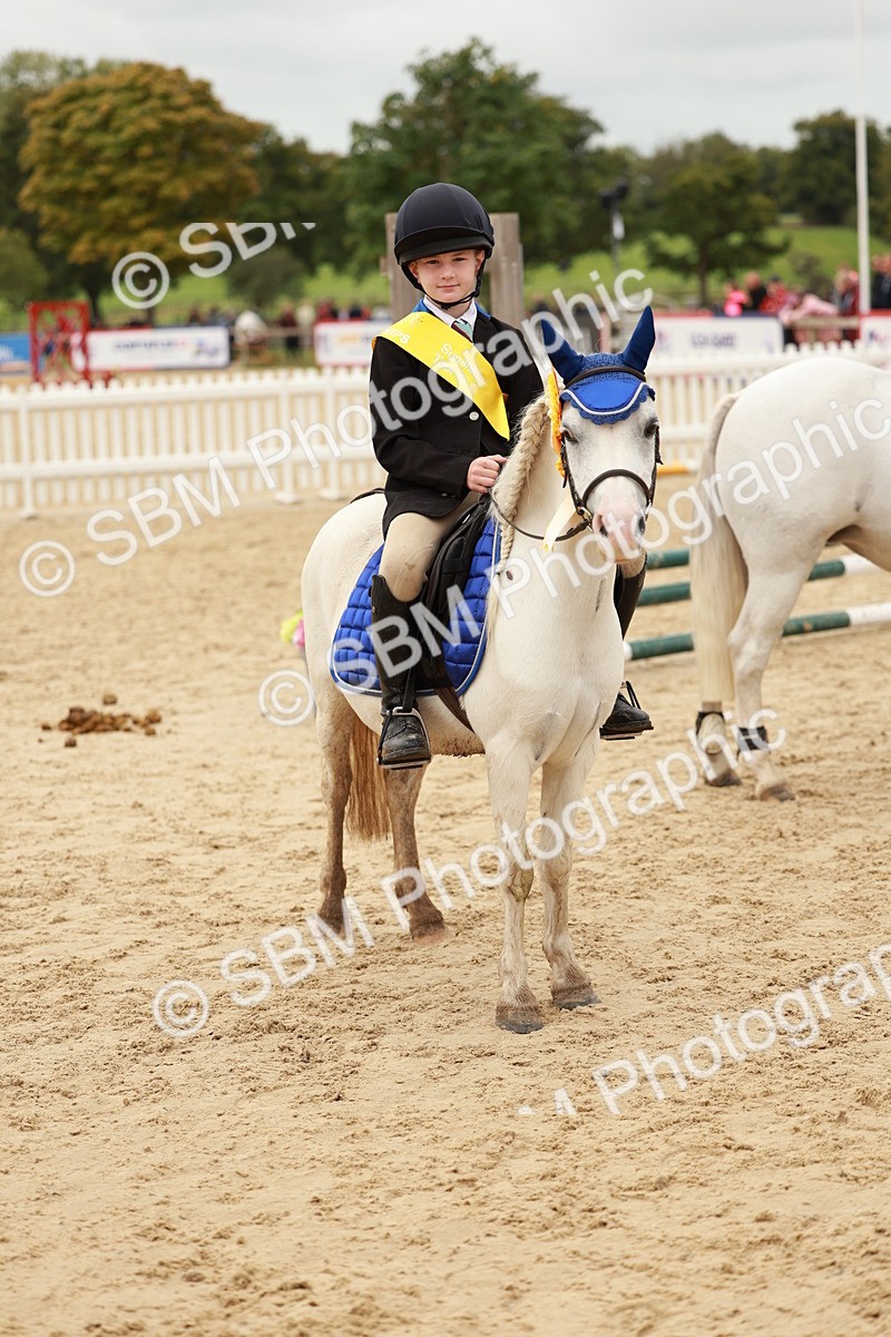 SBM_58078 - J11 - Junior Pony 50cm Championship