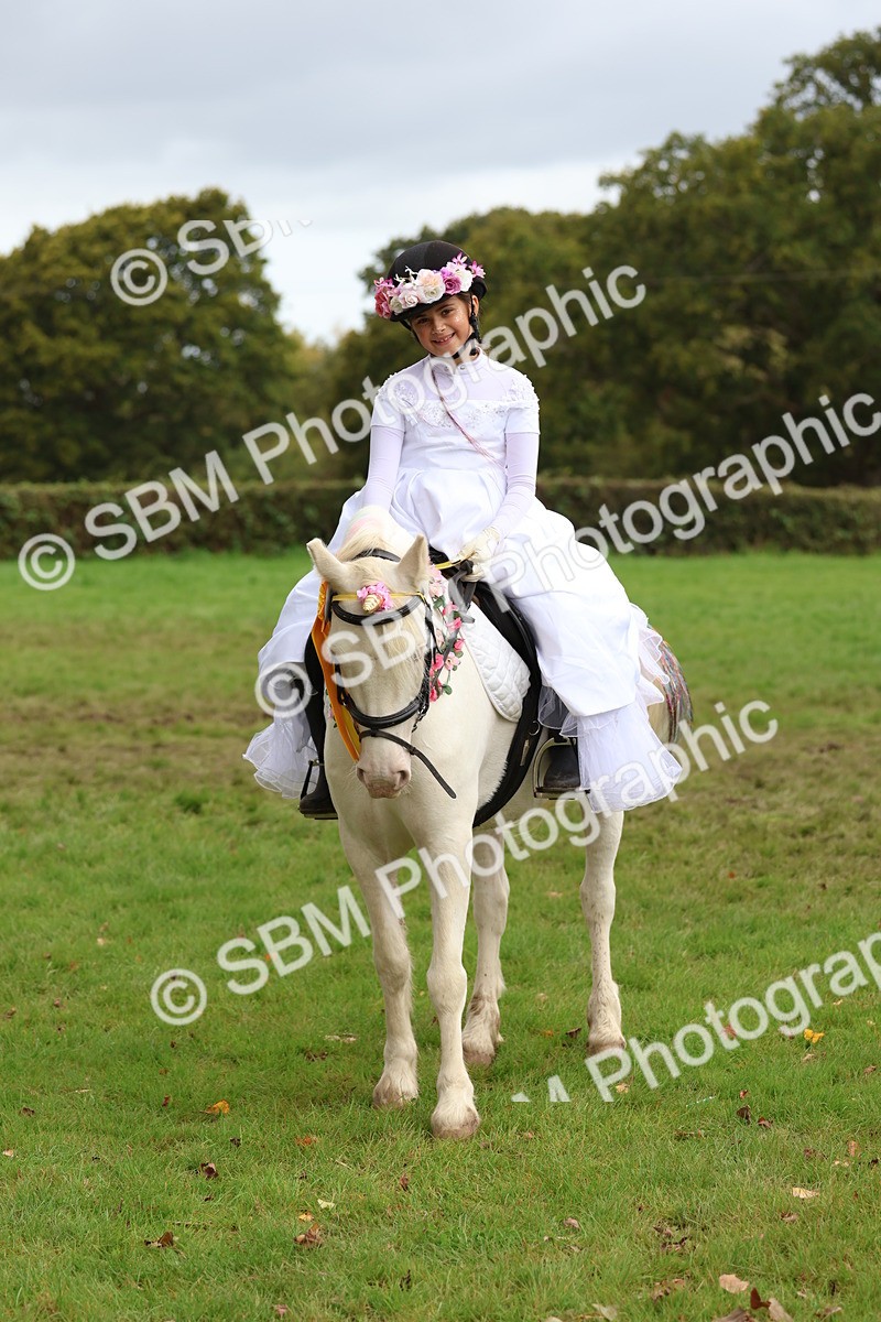 SBM_62231 - S37b - Best Unicorn
