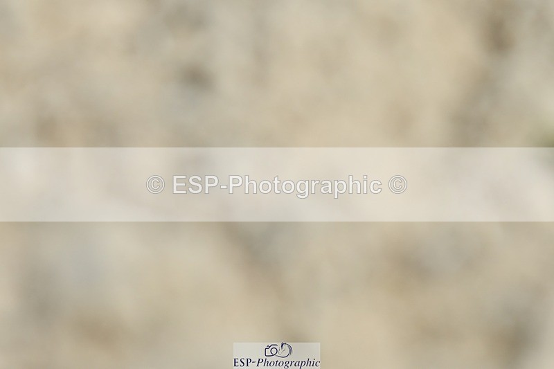 230623-144639-01052 - Cls 5 Elementary 43