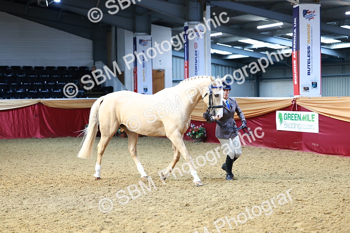 SBM_22182 - Class 902 - Supreme Final - IH Diamond