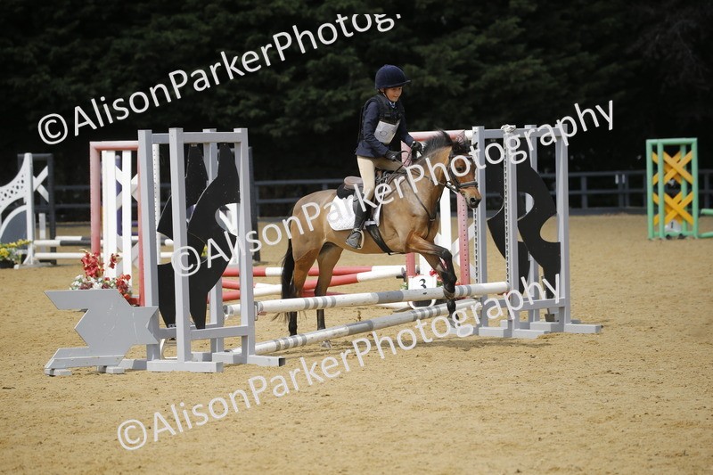 20250622-3959 - 50cm