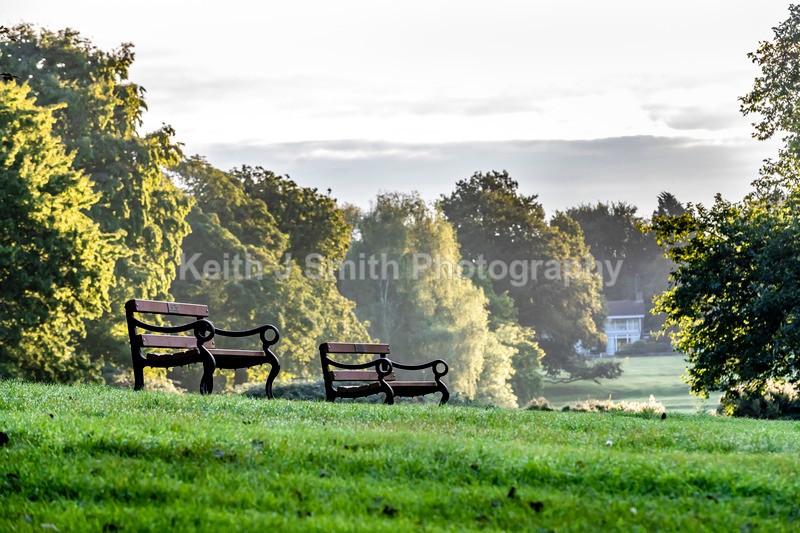 2KJS2911 - Trees in Abington Park