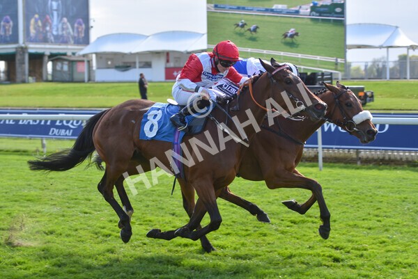 yr13052021r7-35 - Race 7 4.50pm Autohorn Stakes