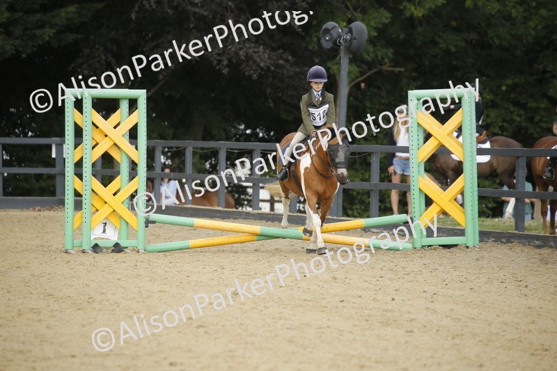 20250622-1279 - 40cm