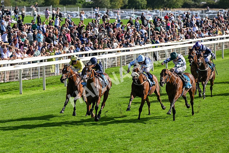 060926-Race 5-Extremely Zain-0309 - Race 5 3.50pm Starman At Tally Ho Stud Garrowby Stakes