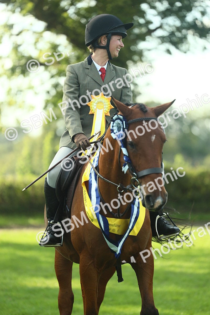 SBM_52318 - Working Hunter Supreme Championship