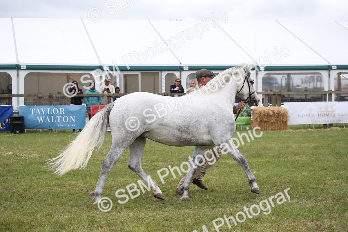 SBM_09853 - Ch 50 - Price Family Supreme In Hand