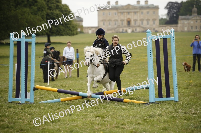 20250517-0182 - Class 1 - 30cm On Lead Rein