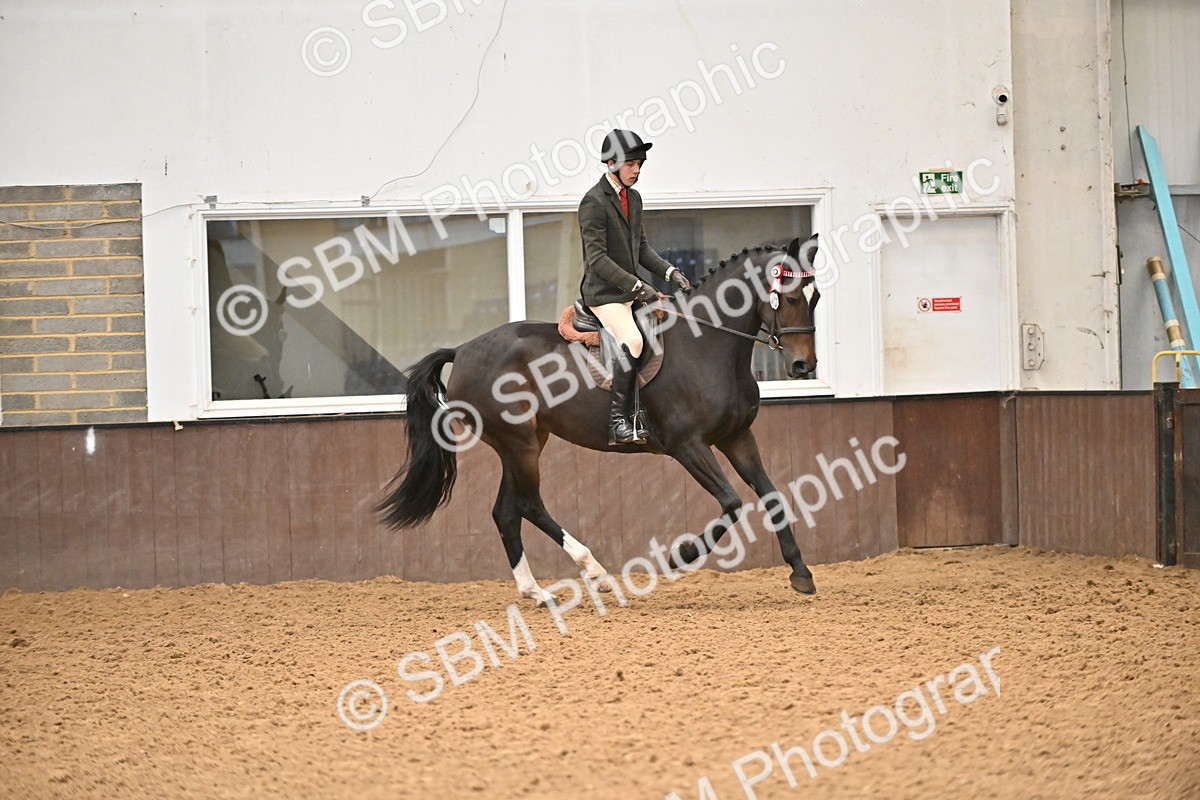 SBM_001458 - Class 19,20 - Ridden Native, Foreign Breeds & Warmbloods